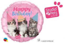 18″ / 46cm Birthday Kittens Qualatex #57623