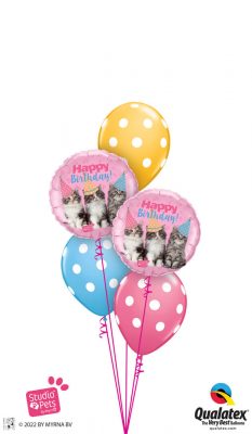 Bukiet 1613 Birthday Kitties Qualatex #57623-2 86421-3