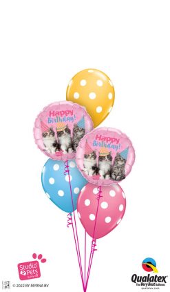 Bukiet 1613 Birthday Kitties Qualatex #57623-2 86421-3