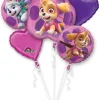 Bukiet 1819 Paw Patrol Skye & Everest Amscan #3482801