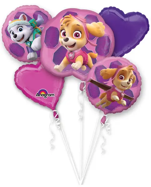 Bukiet 1819 Paw Patrol Skye & Everest Amscan #3482801